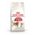 Royal Canin Regular Fit Yetişkin Kedi Maması 15 Kg